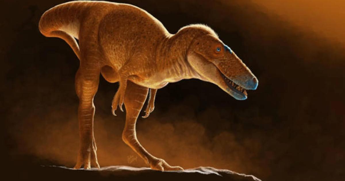 An 85-million-year-old Mongolian dinosaur named Khankhuuluu mongoliensis, seen here in an artist’s reconstruction.