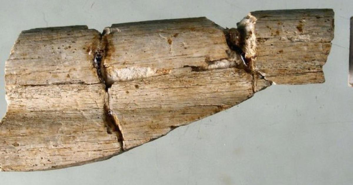 Human remains are Durham’s earliest known resident.          Source: Durham University