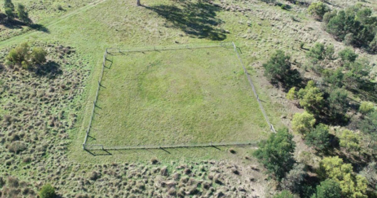 Earth ring found on Wurundjeri Woi-wurrung territory near Sunbury, Victoria, Australia.