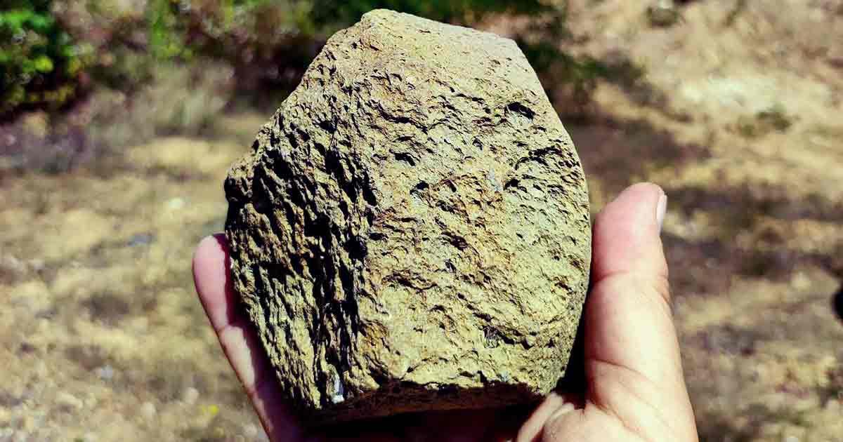 Stone Paleolithic tool possibly from Layer VII at Korolevo I. Surface find. Source: Roman Garba / Nature