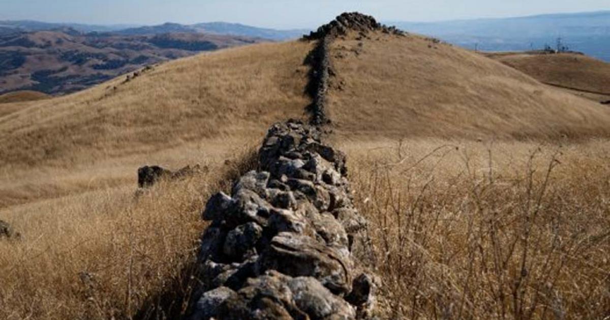 Part of the extensive East Bay Wall network. Source: Chris/Adobe Stock