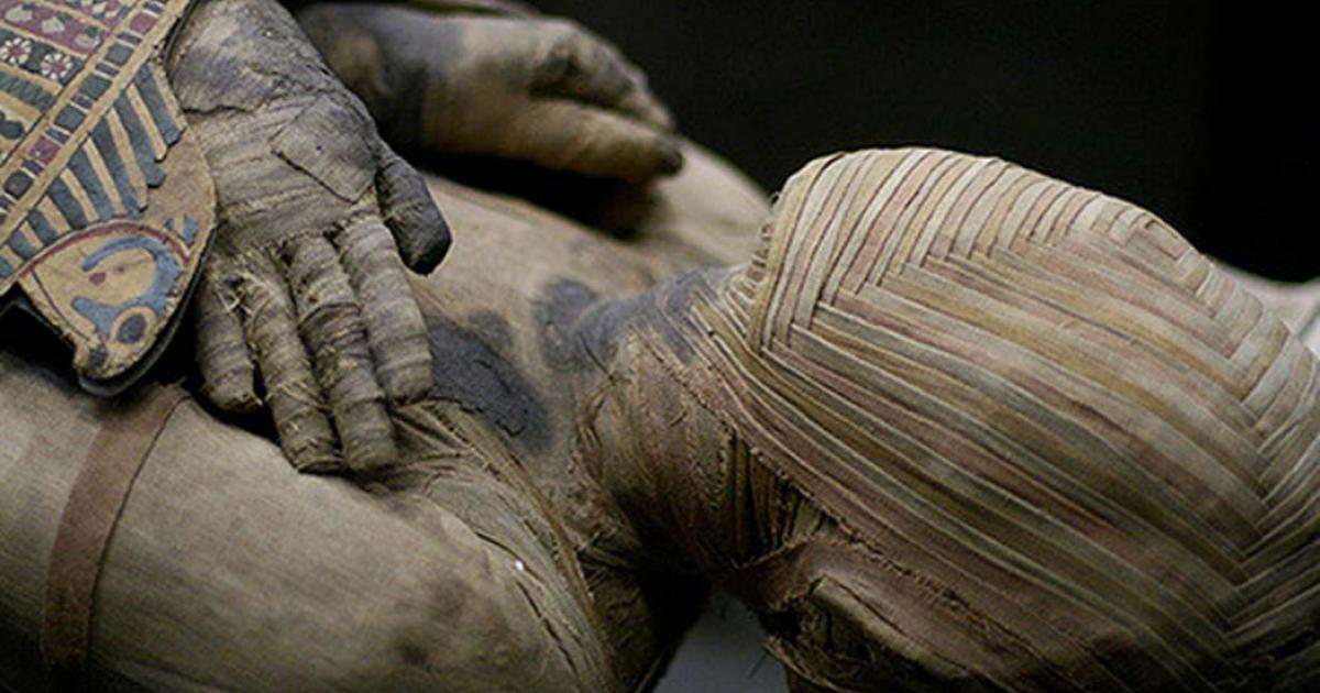 An Egyptian Mummy 