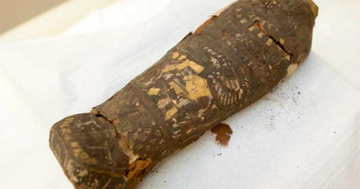 Tiny, 2,300-Year-Old Egyptian Mummy Believed to be a Hawk is Actually a Human Fetus 