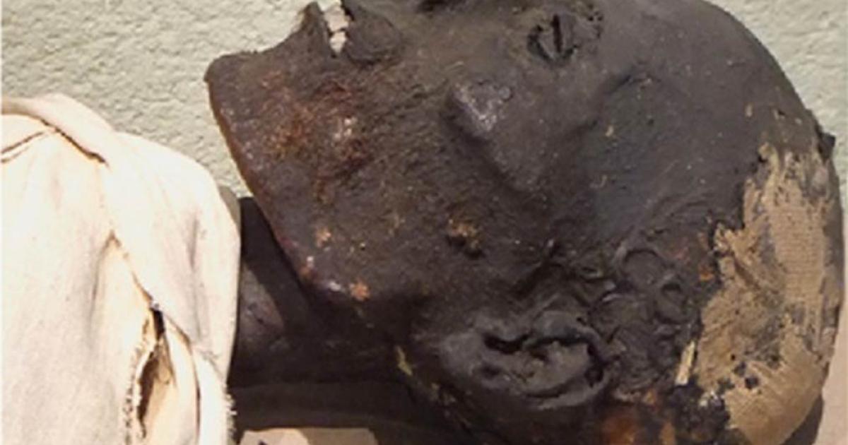 Researchers analyzed embalming material from the neck of this ancient Egyptian mummy, to understand Egyptian skin and mummification.            Source: Frédérique Vincent, ethnographic conservator / ACS
