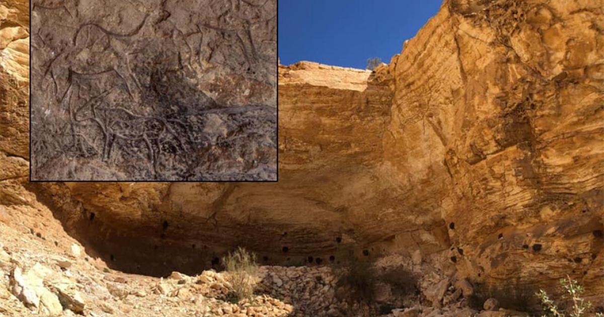 The cave where the rock art was discovered. Inset: One of the sections of rock carvings. Photos courtesy of Ministry of Antiquities