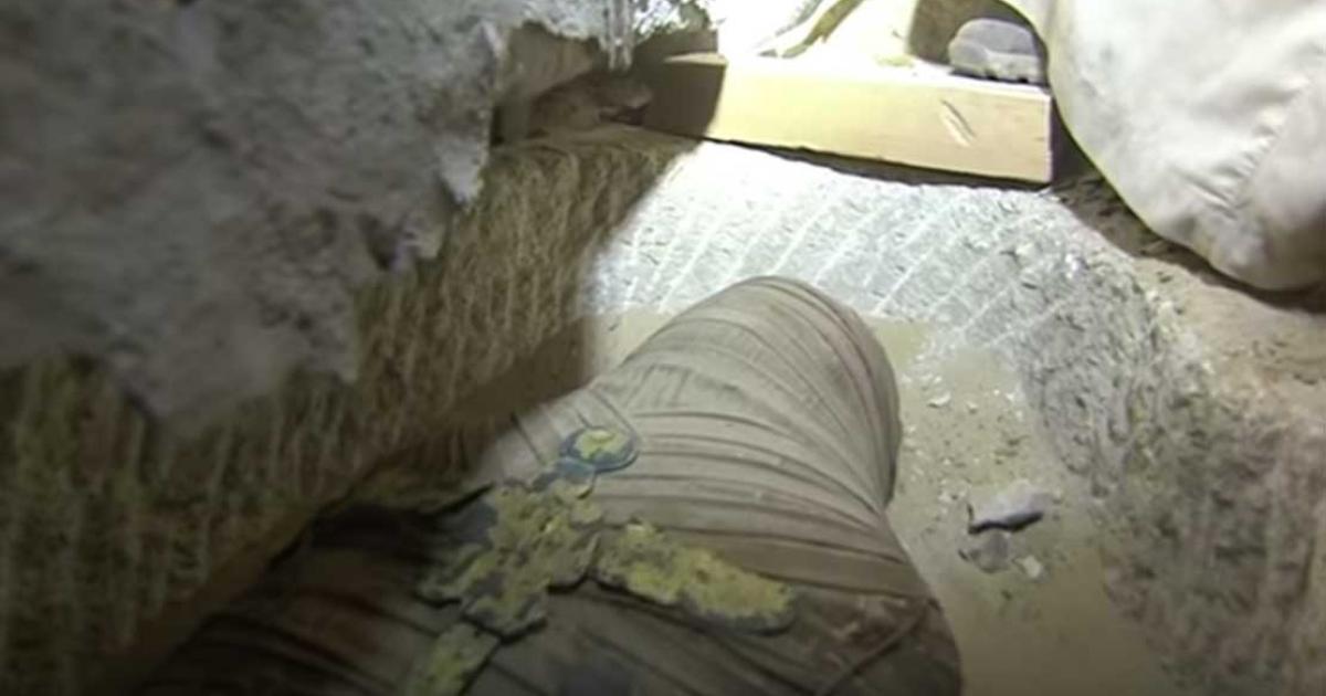 Live opening of sarcophagus revealed a perfectly preserved mummy with gold cross.