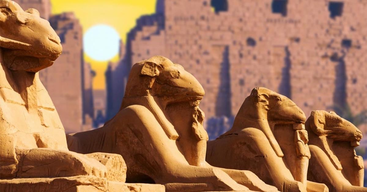 Four ancient Egyptian sphinxes pictured at the Temple of Karnak in Luxor.     Source: Anton / Adobe stock