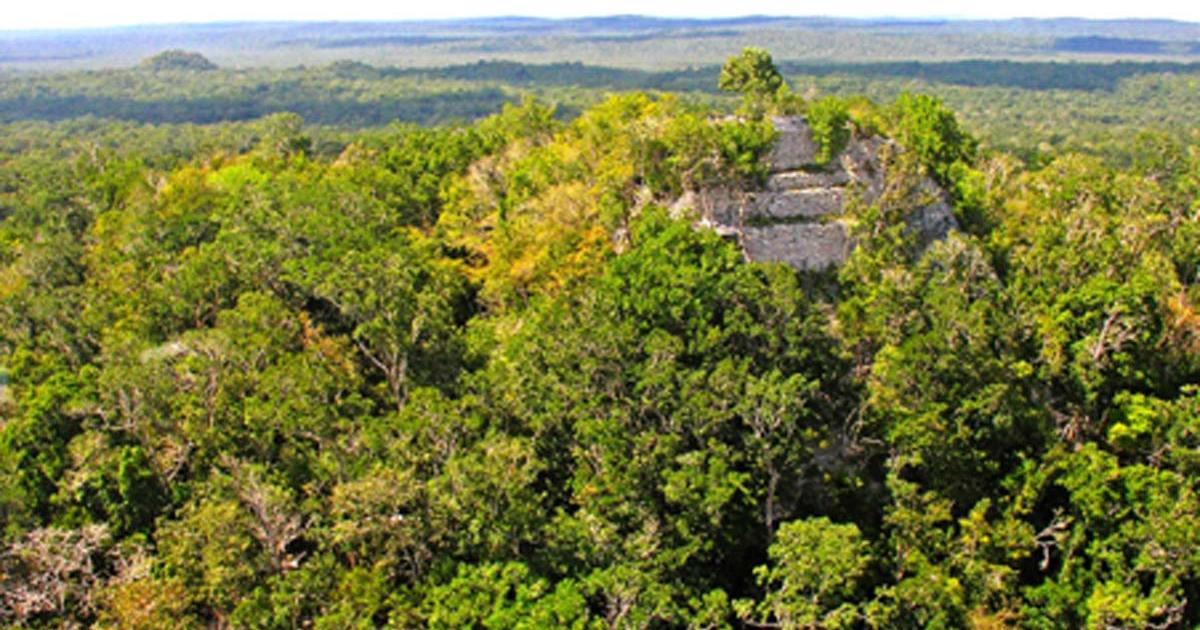 Pyramid of La Danta, El Mirador, Guatemala       