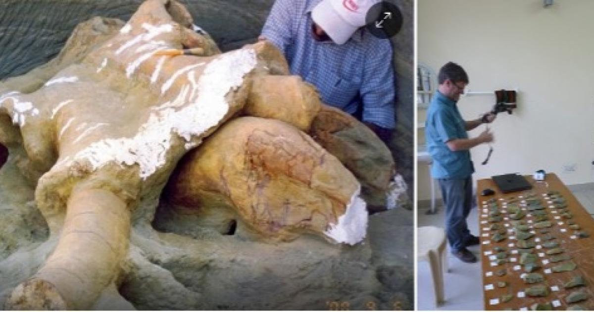 Indian scientists survey Palaeoloxodon (elephant) fossil and stone tools excavated nearby.