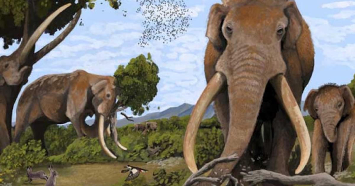 Artist's impression of straight-tusked elephants (Palaeoloxodon antiquus) in prehistoric Europe.