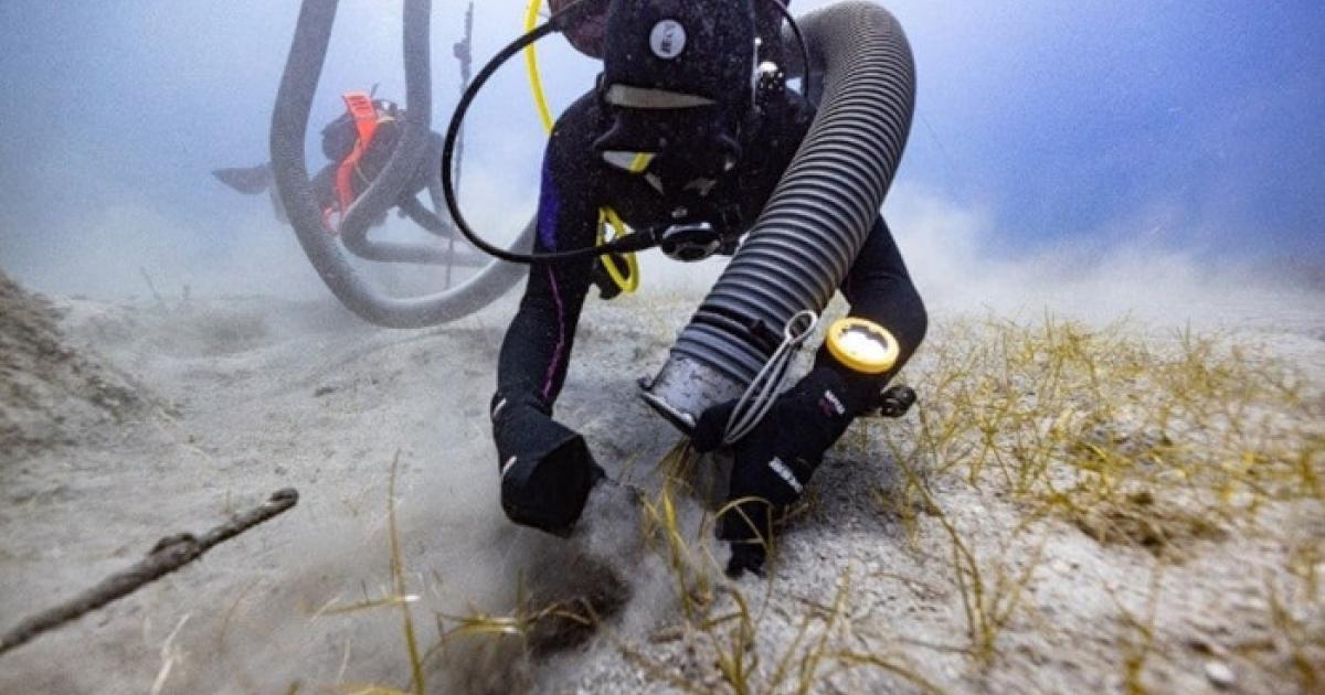 marine archaeologists excavate the wreck of the Mentor, off the coast of Kythera, Greece.
