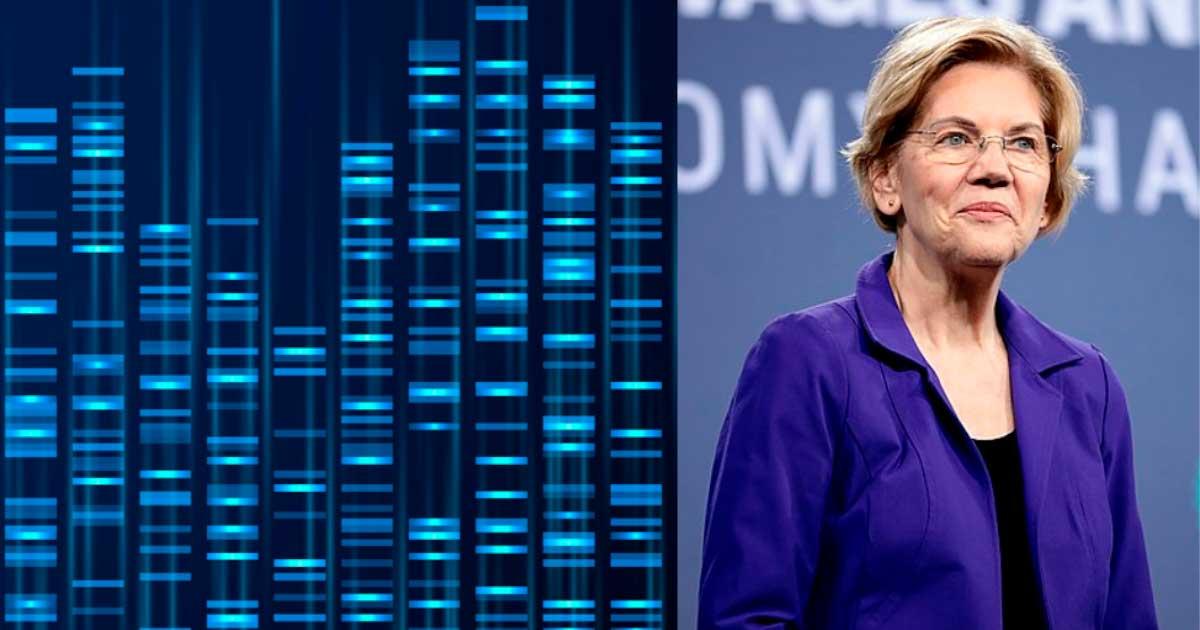 Elizabeth Warren’s DNA test results for Native American ancestry created a lot of controversy. Source: Gage Skidmore / CC BY-SA 2.0, MicroOne /Adobe Stock