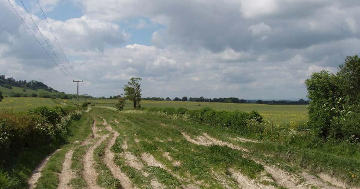 Icknield Way near Lewknor in Oxfordshire. Source: David Hawgood / CC by SA 2.0.