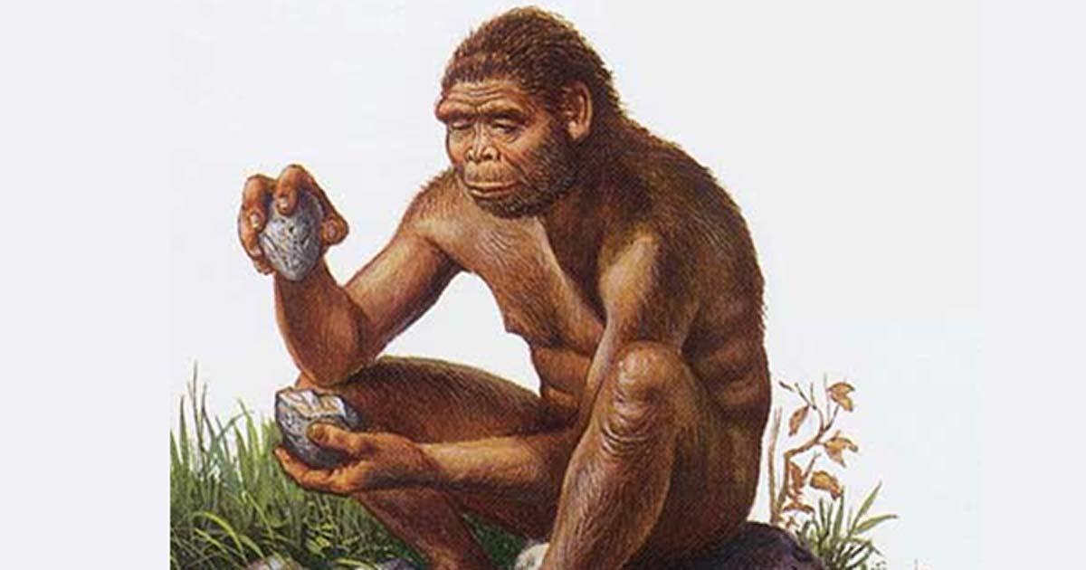 Are you a Righty or Lefty? Ancient Teeth and Tools May Explain the Evolution of Handedness