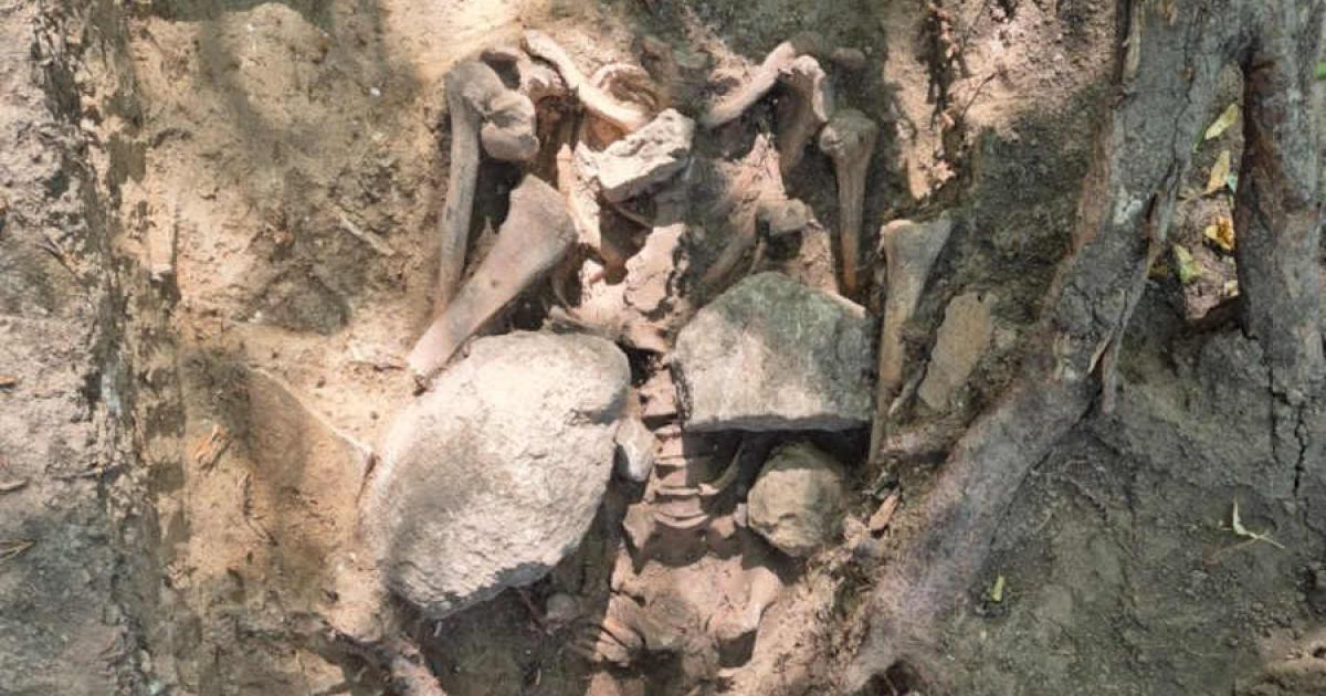 Execution Site Archaeology Uncovers Haunting Secrets in Saxony-Anhalt