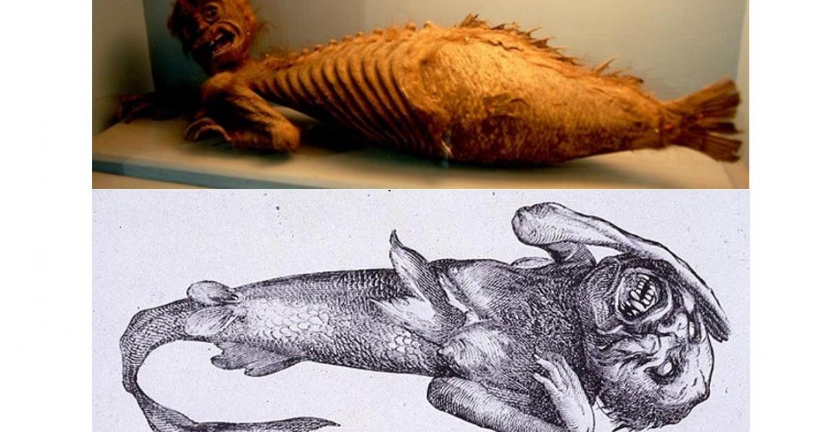 The Fiji Mermaid: What Was the Abominable Creature and Why Was It So Popular?