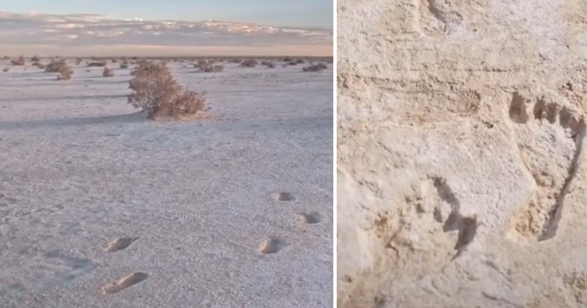 A recent study, outlining what archaeologists consider the oldest known footprints in the United States, is giving rise to new inquiries and overturning established beliefs. Source: YouTube Screenshot/PBS NewsHour