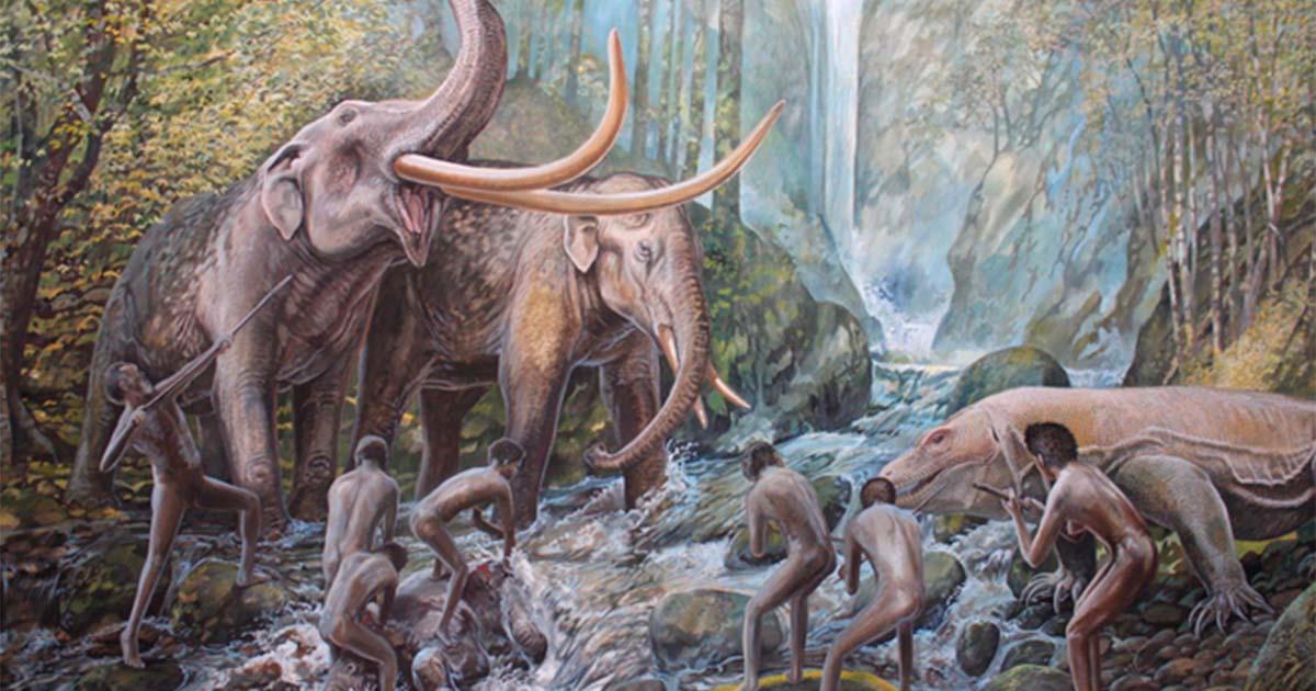 Flores hobbits may have arrived on leaf baskets.  Here they interact with stegodons and Komodo dragon. Source: Peter Schouten