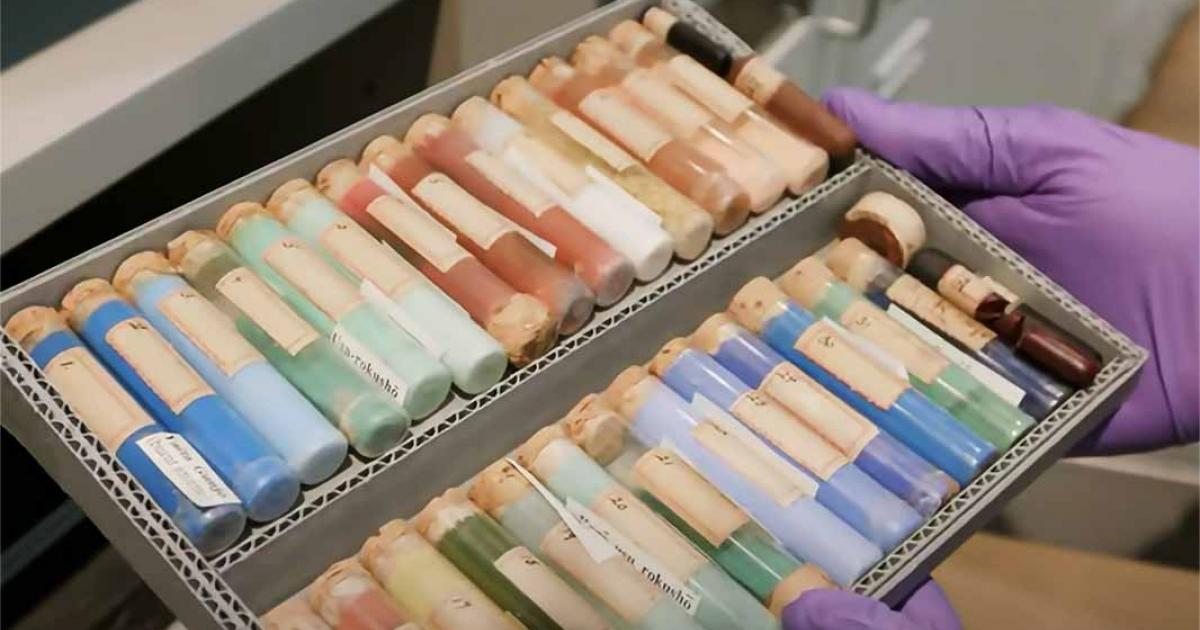 Forbes pigment collection. Source: YouTube Screenshot / Great Big Story.