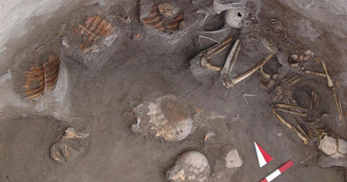 Turtles May Have Been Feasted On as Part of Funeral Rites at Ancient Turkey Site