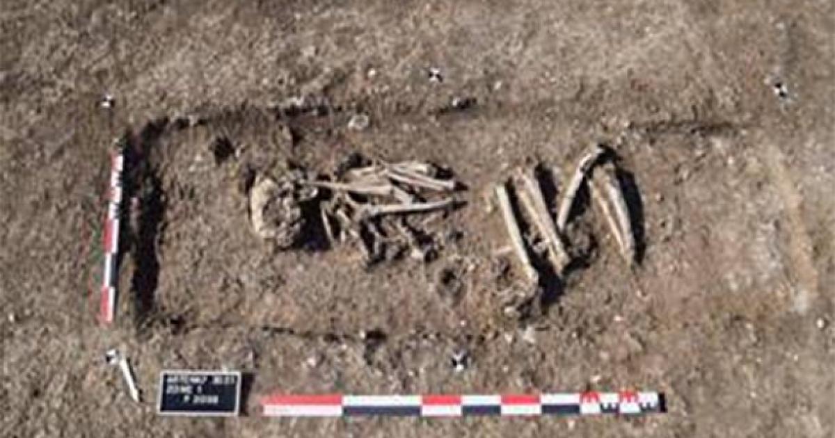 Ancient Skeleton Found Clutching Deer Antler in Neolithic Complex in France