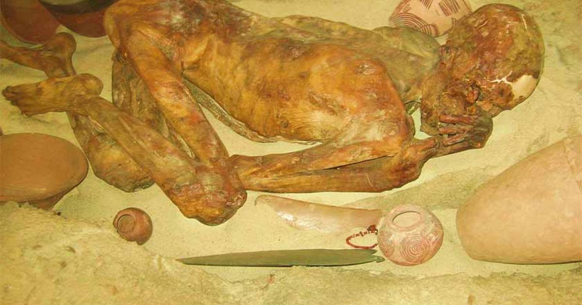 The mummified Gebelein Man formerly known as "Ginger" in a reconstructed Egyptian grave-pit in the British Museum, photographed in 2008.   