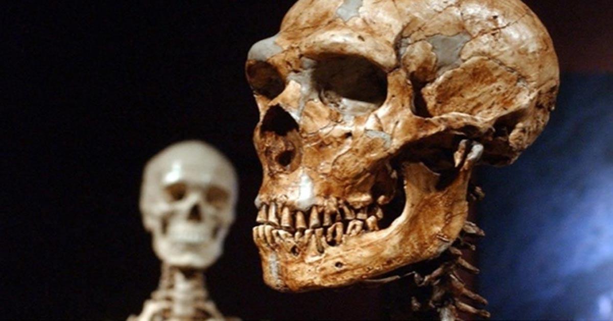 Biggest Known Genetic Difference Between Humans and Neanderthals May Be Related to Autism