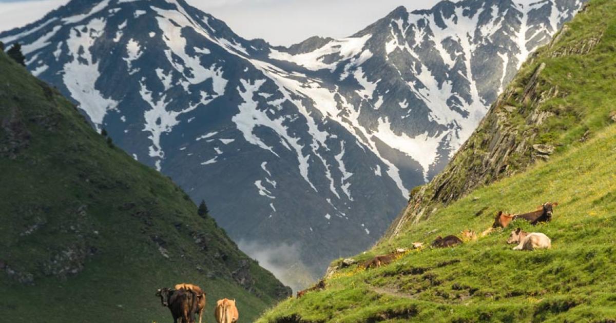 Caucassus Mountains Georgia