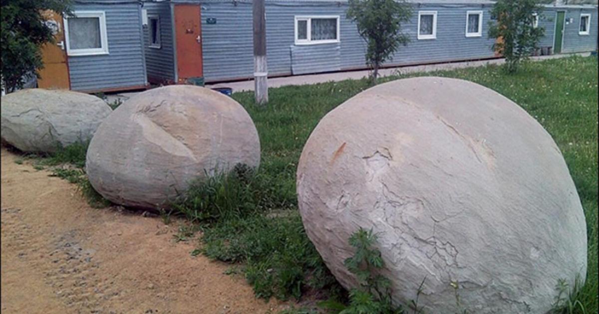 A leftover from Jurassic Times.