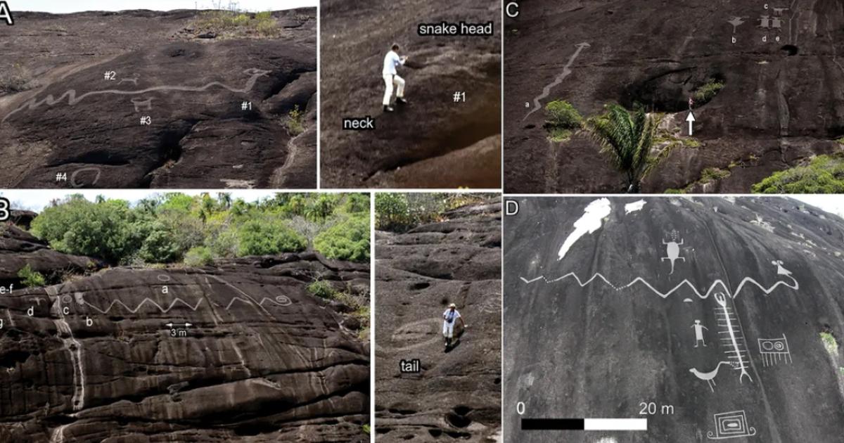 A variety of the giant petroglyphs discovered along the Orinoco River