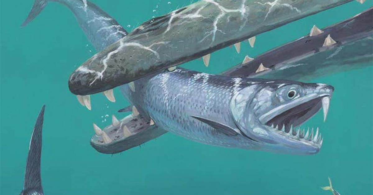 Scientists studying 55-million-year-old fossils using groundbreaking tech have revealed that after the extinction of dinosaurs, giant anchovies roamed the sea. Pictured: Artist’s impression of saber-toothed anchovy being caught by an early whale.   Source: © Joschua Knüppe