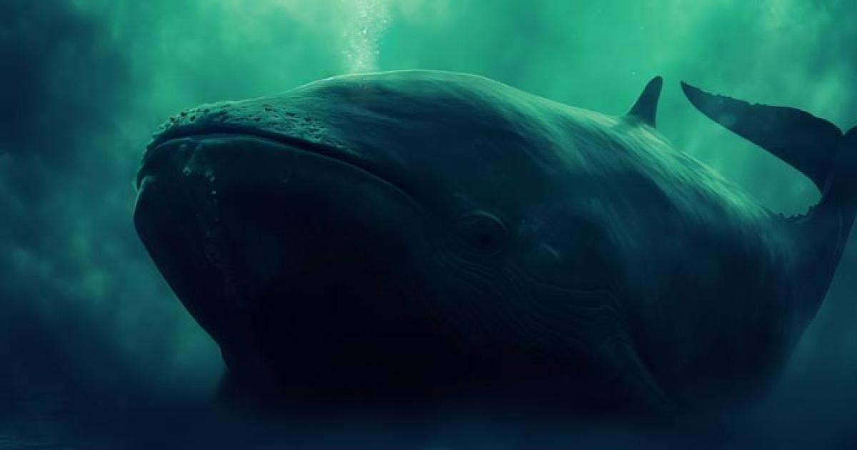 Giant whale under the sea. Source:	 Катерина Євтехова/Adobe Stock
