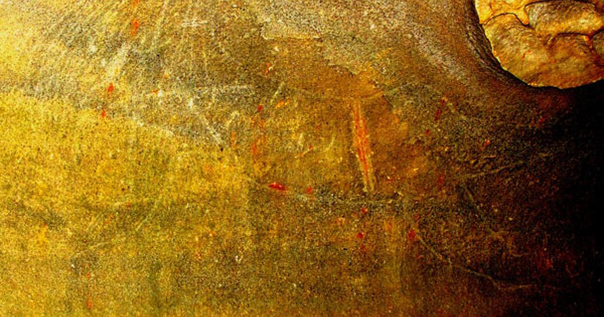 The Cave of the Golden Boomerang