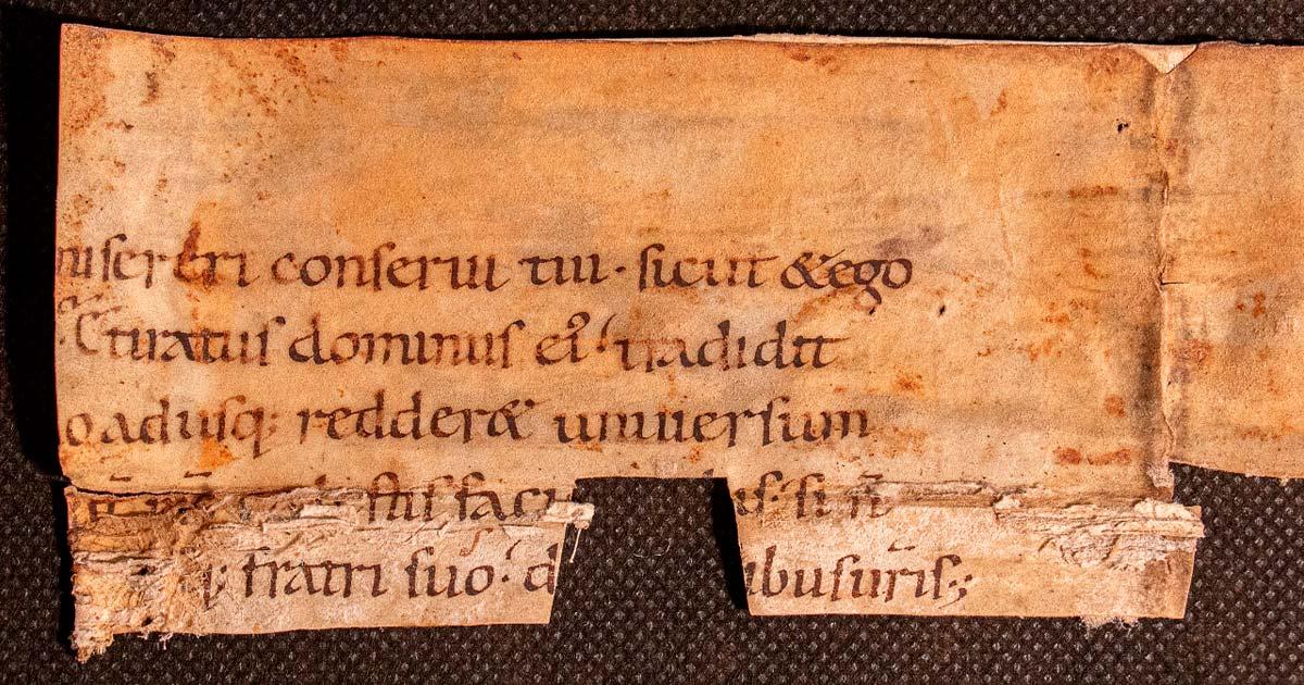 Fragment from ancient gospel. Source: Stephen Butler / Adobe Stock.