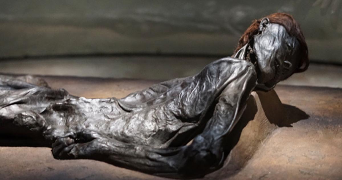 The Grauballe Man is a bog body that was uncovered in 1952 from a peat bog near the village of Grauballe in Jutland, Denmark. 