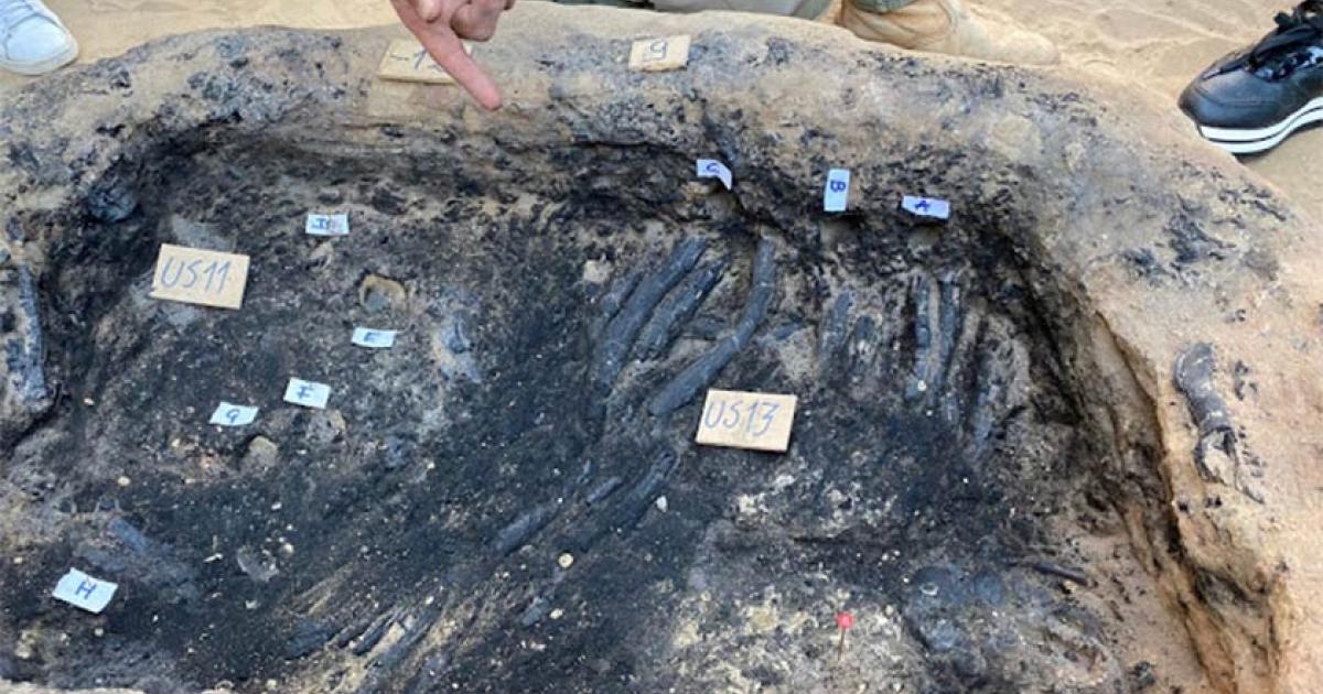 The remains of what appears to have been a unique funeral ceremony and Greek burial have been discovered at the ancient colony of Gela in southern Sicily. Source: Superintendence of Caltanissetta