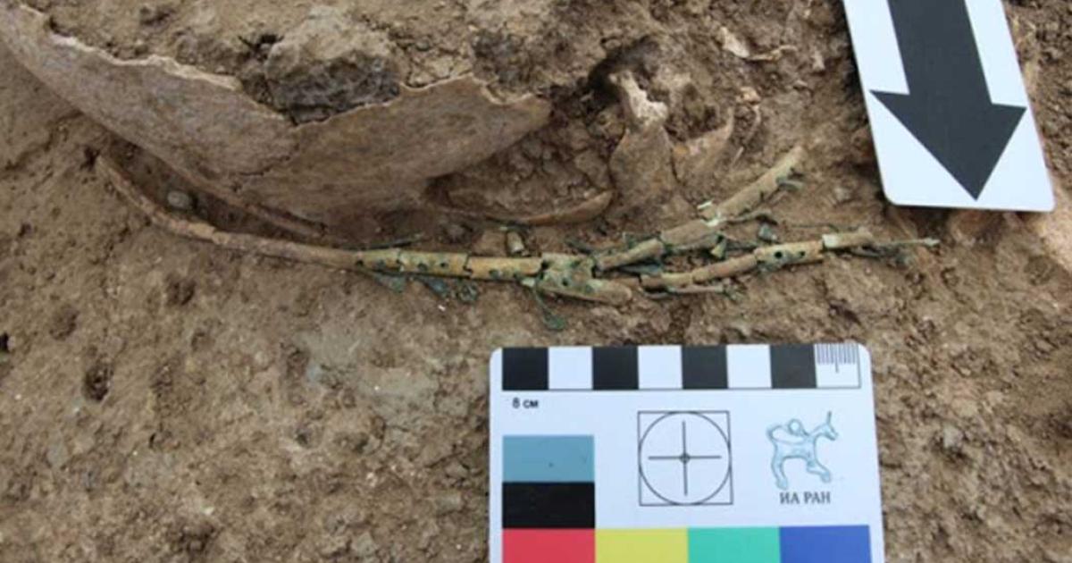 The remains of harp found in the ancient necropolis of the Volna-1 settlement in the Temryuk district of the Krasnodar Territory. 