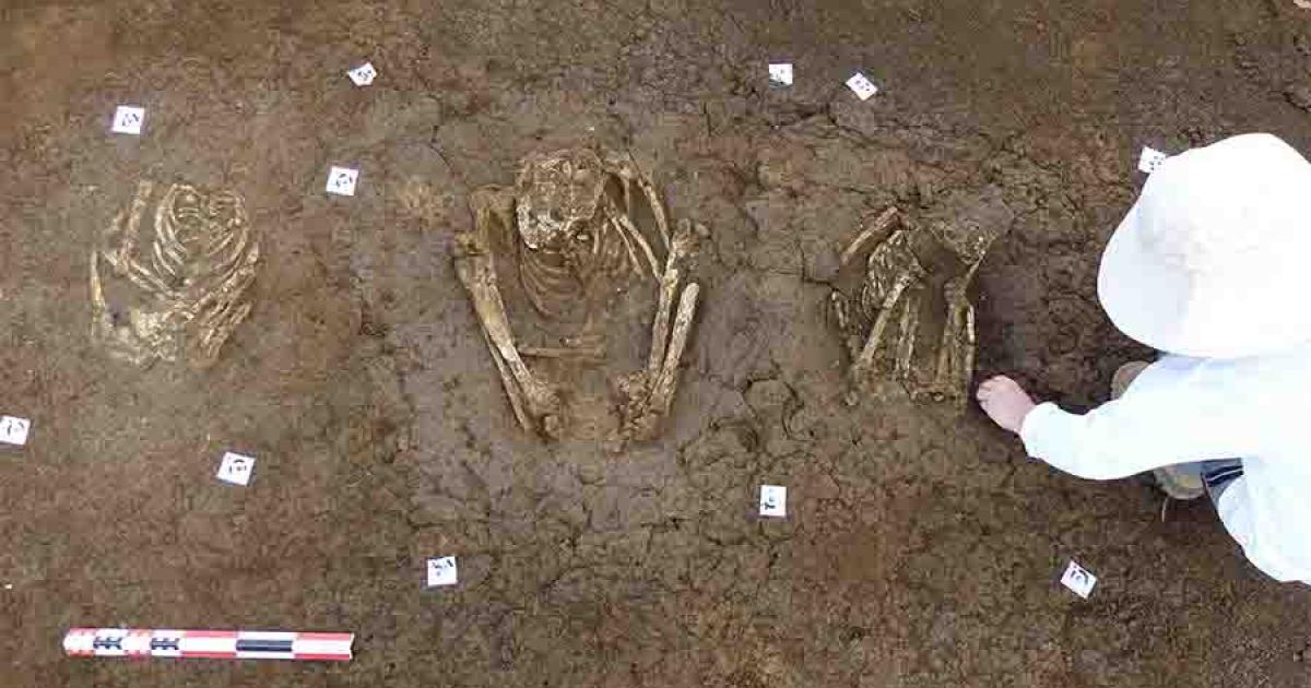 French Archaeologists Discover 113 Intact Ancient Guadeloupe Burials