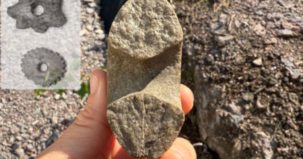 Stone Age hammer and star-shaped club heads from the Stone Age.