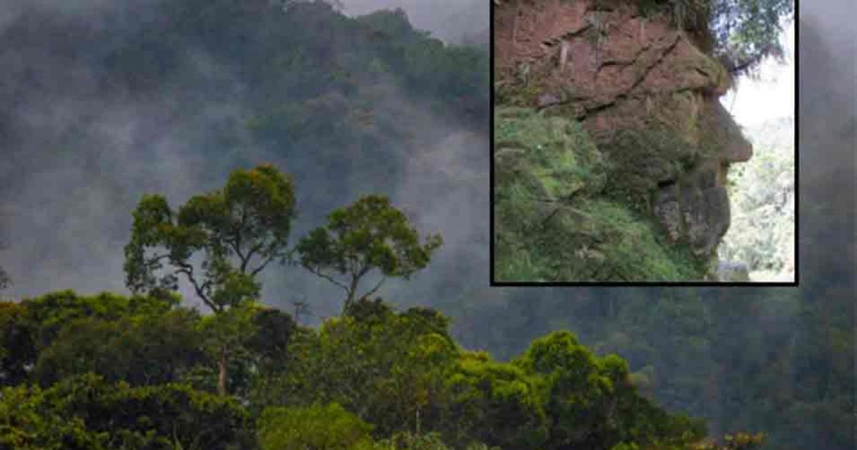 Main: The Amazon rainforest. Inset: The Harakbut Face. Source: vaclav / Adobe Stock and Arqueologia Revelada 