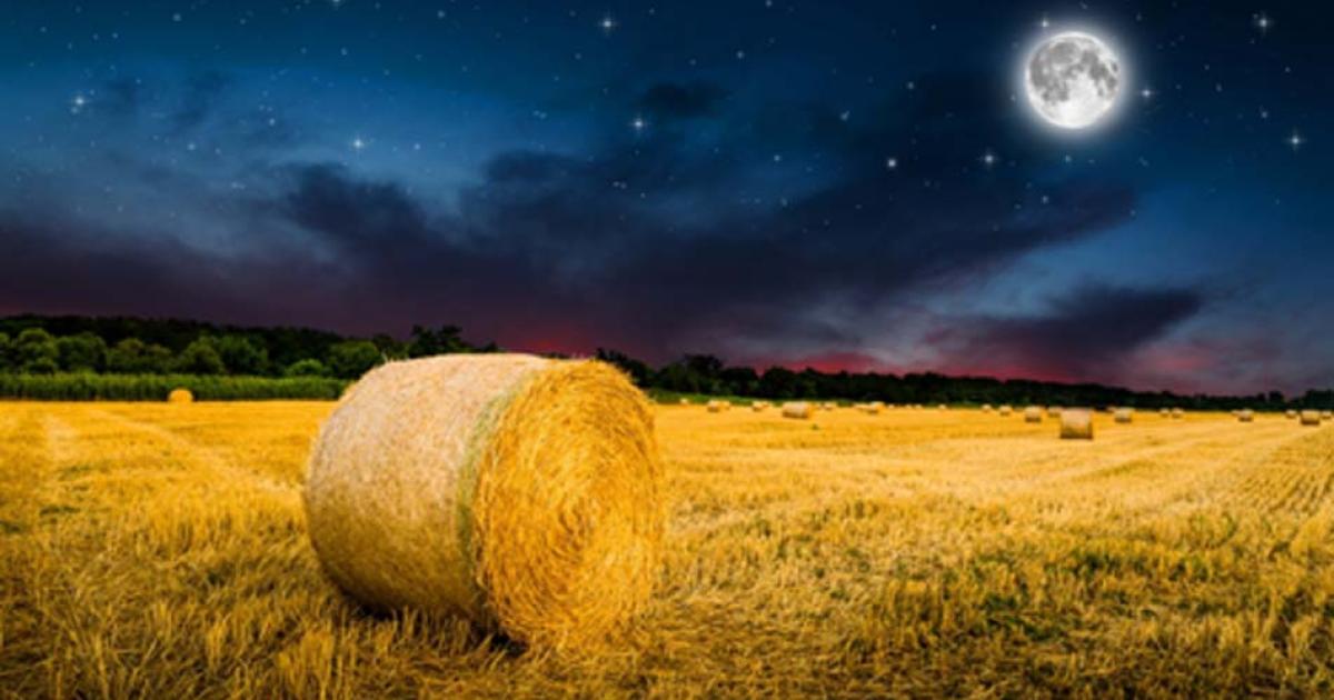 The Harvest Moon. Source: klagyivik / Adobe Stock.
