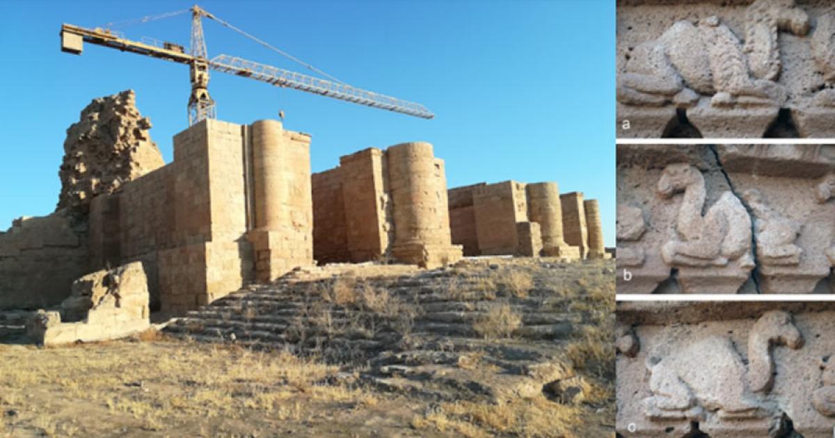 The Temple of Allat in Hatra, Iraq. Right: camel relief comparisons. Source: Photograph courtesy of the Aliph-ISMEO project at Hatra / Antiquity Publications Ltd.