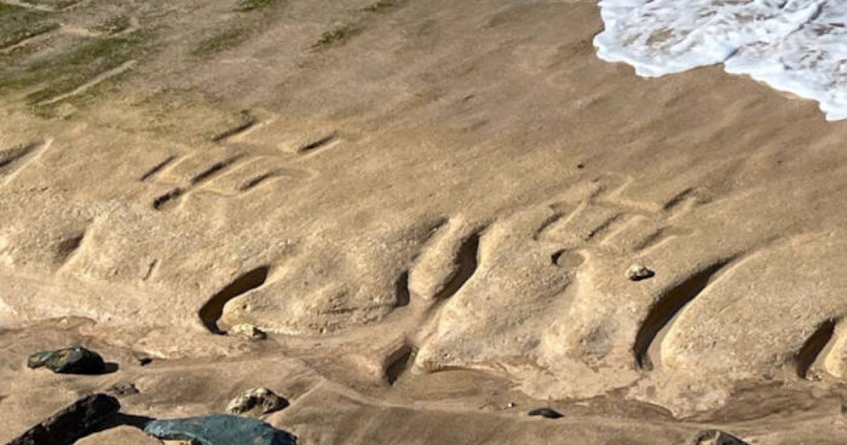 Ancient Hawaiian petroglyphs revealed by natural coastal processes on Oahu's west shore.