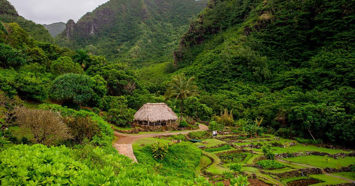 Limahuli Garden Preserve, Hawaii. Source: stevengaertner / Adobe Stock.