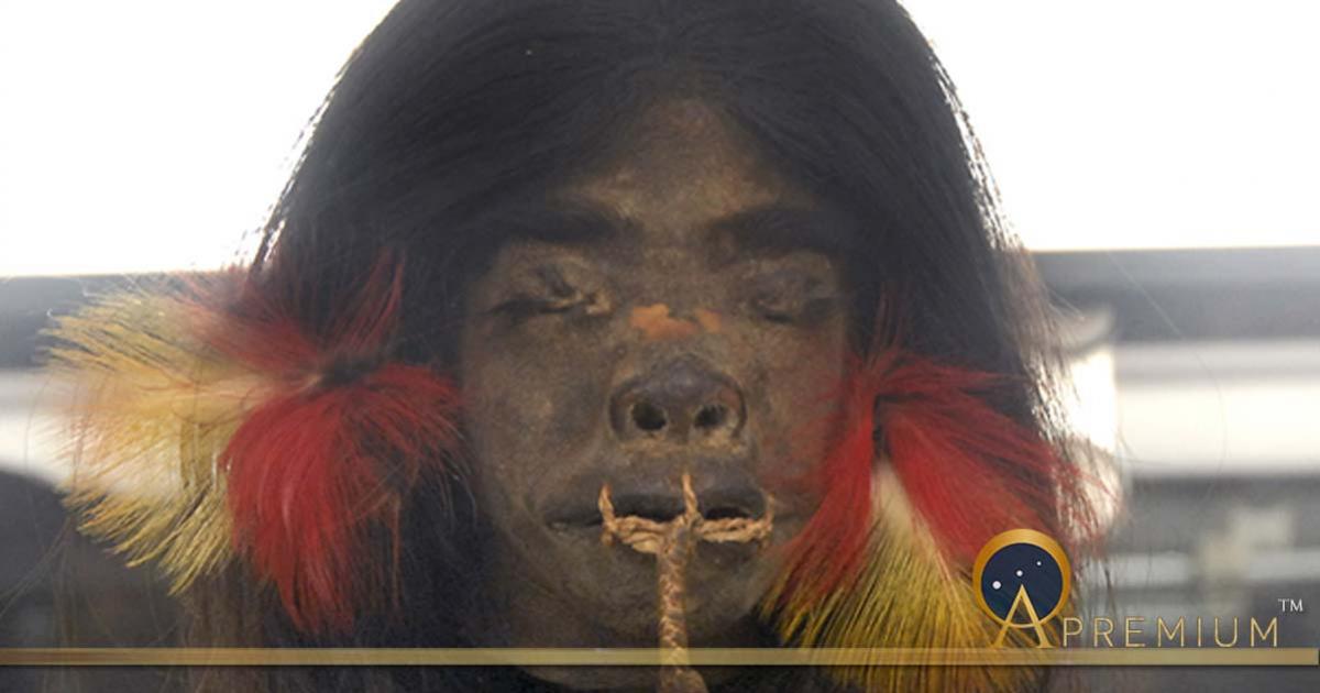 Shrunken head from the upper Amazon region