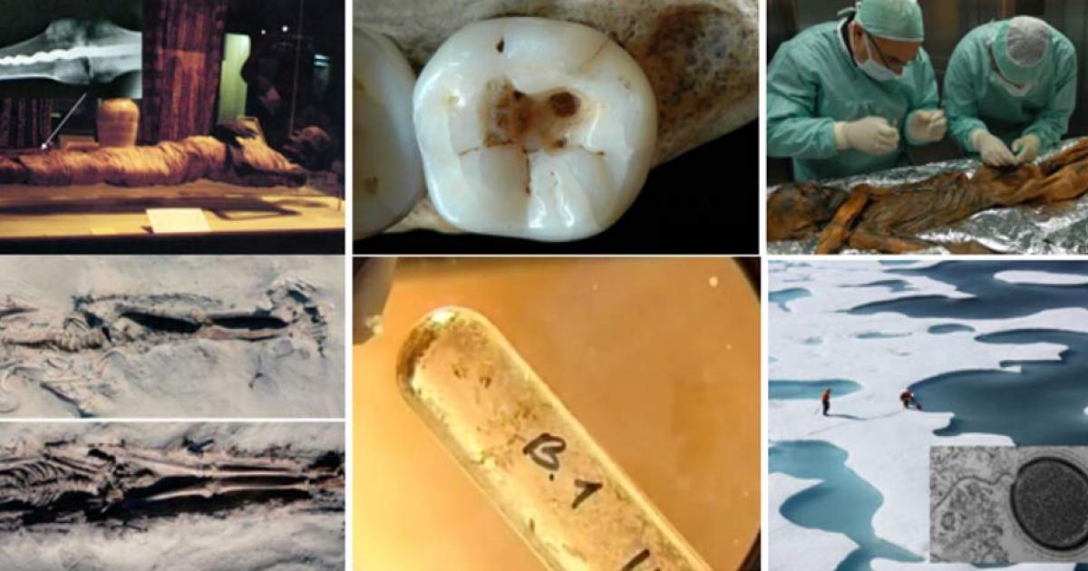 Top Ten Historical Health and Medical Discoveries of 2015