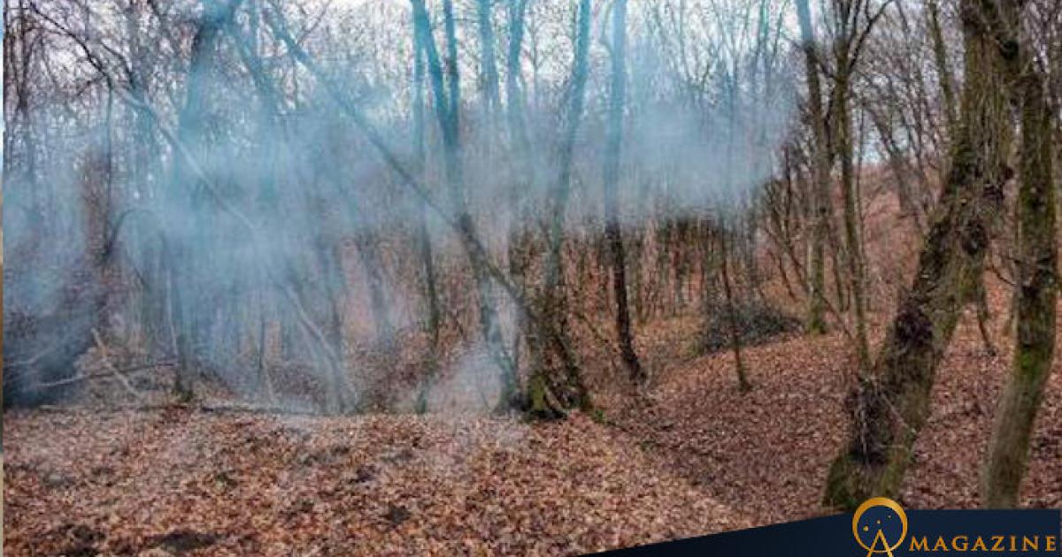 Hoia Baciu forest, Romania.