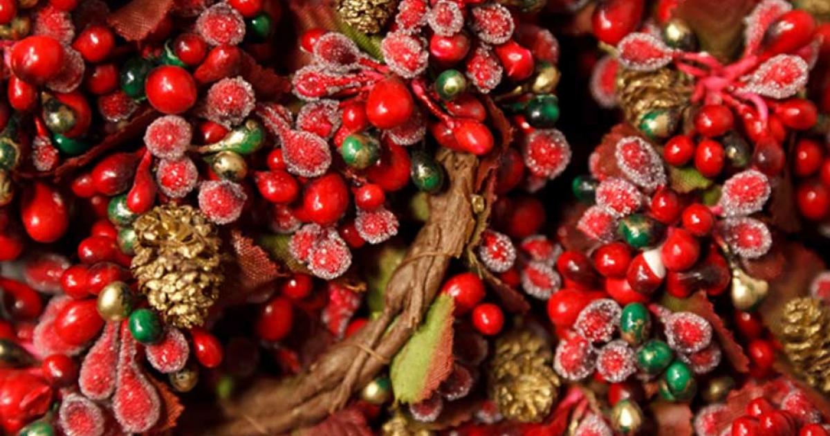 The Holly and the Ivy: How Pagan Practices Found Their Way into Christmas
