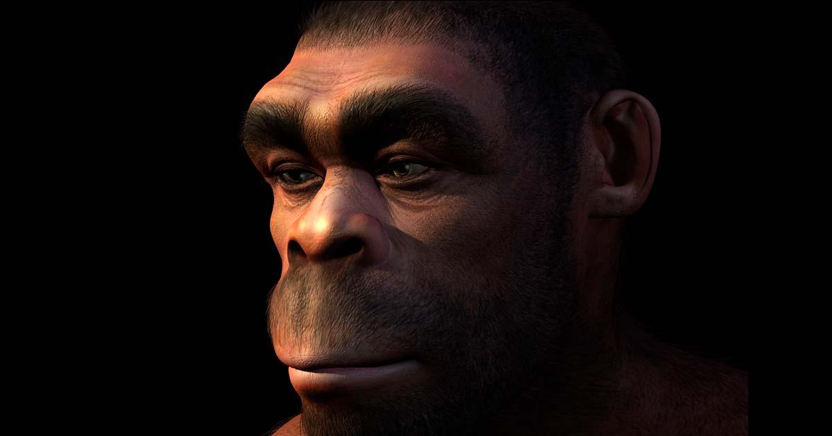 Top image: Homo erectus reconstruction. Source: AlienCat/Adobe Stock