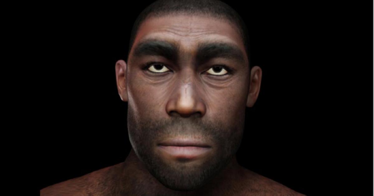 Representation of Homo Erectus. Source: crimson